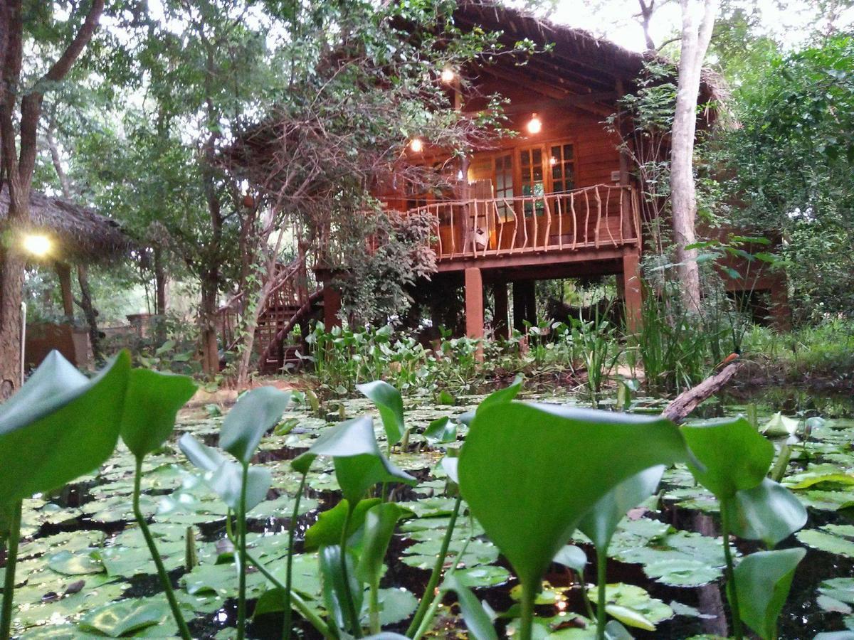 Habarana Tree House Mutu Village Exterior foto