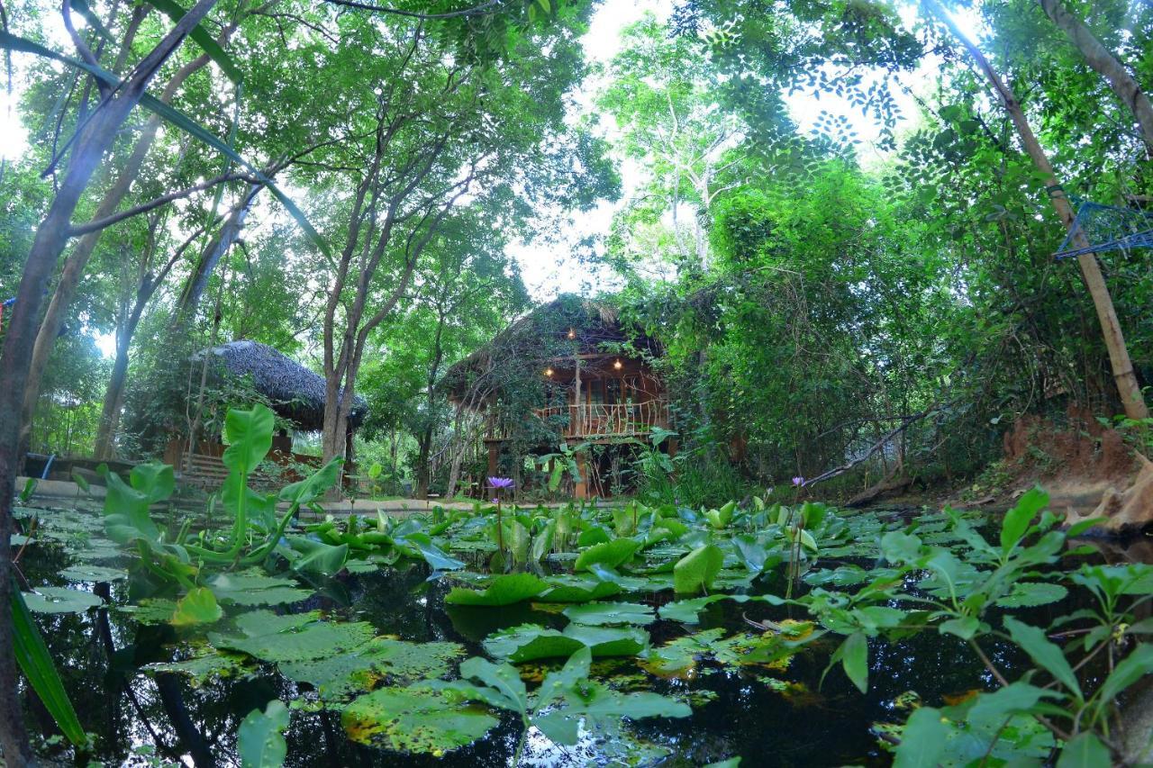 Habarana Tree House Mutu Village Exterior foto